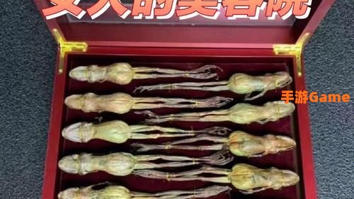 秋葵男的加油站女人的美容院