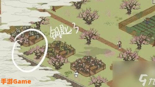 桃花坞宝箱