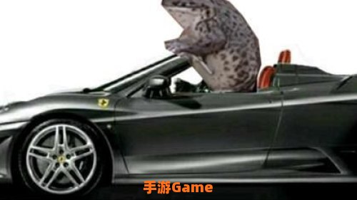 小天鹅今晚有空吗