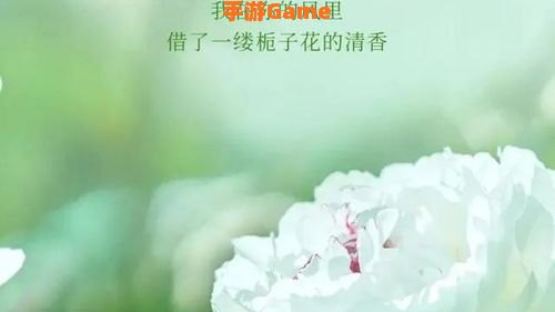 五月再见你好六月图片大全