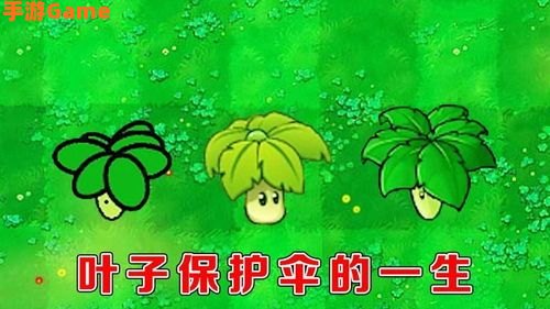叶子保护伞
