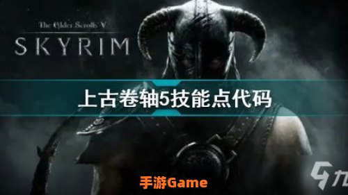 上古卷轴5 代码